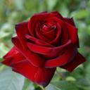 Test Ürün 2 2